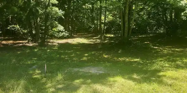 Lot #3 FOREST GROVE ROAD