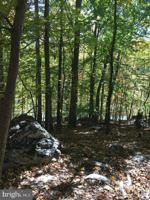 6784 HEMLOCK POINT ROAD