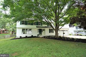 9342 HICKORY LIMB