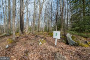 Lot 5 STANTON LANE