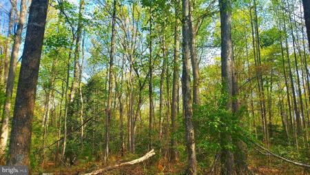 Lot 1045 POPLAR DR