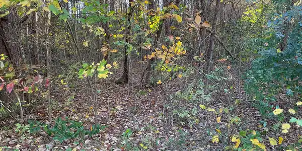 5311 RYE HILL TRAIL