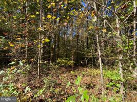 Lot 428 SLASHER PLACE