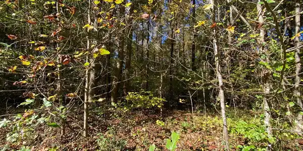 Lot 428 SLASHER PLACE