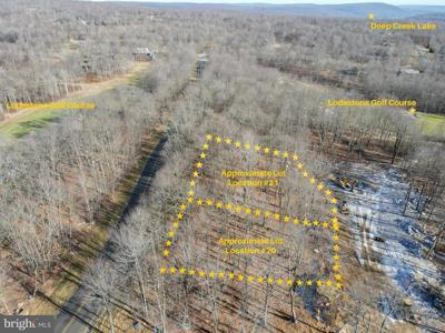 Lot 20 GREEN JACKET CT
