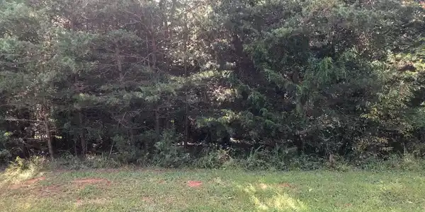 0 PALOMINO DRIVE