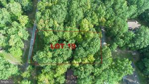19 PINE TREE POINT ROAD