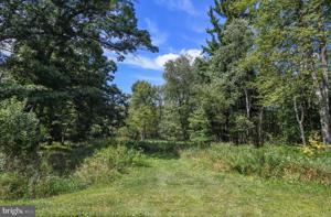 Lot 20 BOYD PAUGH LANE