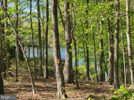 LOT 70 DOUGLAS RD.