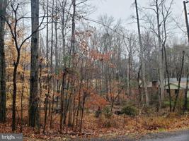 1119 EASTOVER PARKWAY