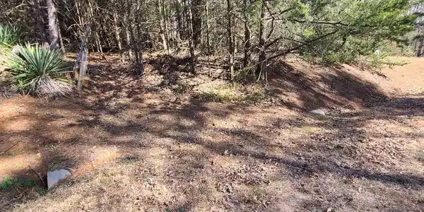TALL PINES DR