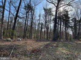Lot 3 KENTUCKY SPRINGS RD