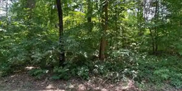 Lot 72 MADELINE LANE