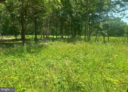 Lot 2 KENTUCKY SPRINGS RD