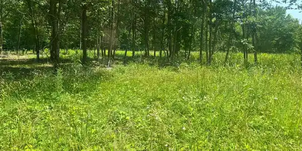 Lot 2 KENTUCKY SPRINGS RD