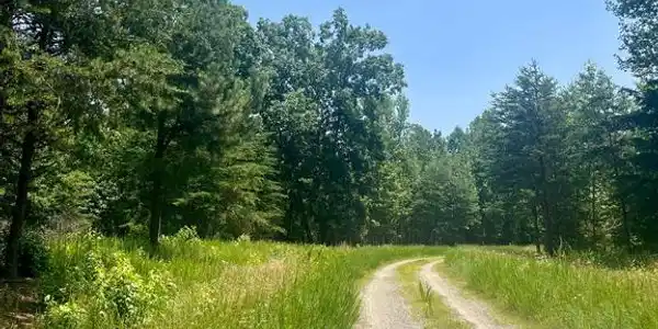 Lot 3 KIMBERLY CT
