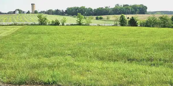 LOOKOUT CIRCLE