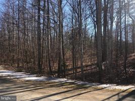 PINE POINT PL
