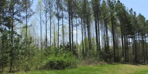 0 GOVERNORS POINT LANE
