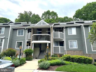 9469 HICKORY LIMB