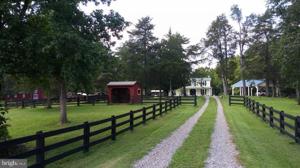 1351 SPRING ROAD