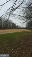434 BIRDIE ROAD