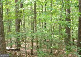 LOT 646 DOGWOOD DR