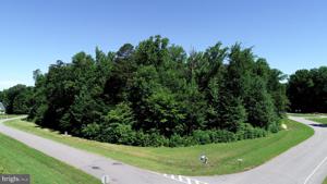 RAINBOW RIDGE