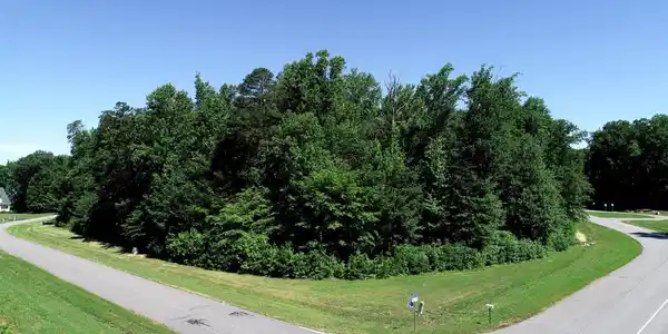 RAINBOW RIDGE