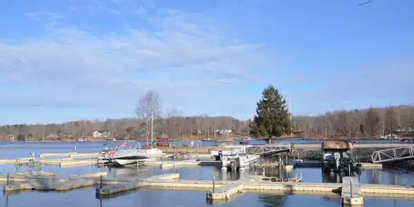 110 TALL PINES DRIVE LOT 110