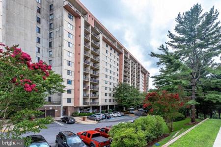 3800 POWELL LANE