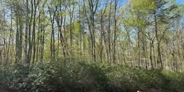 Lot 16 PINE HARBOUR DRIVE