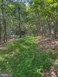8165 SAND ROCK