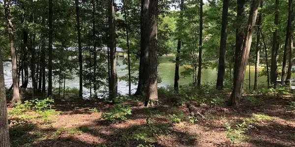 0 WOLFTRAP CT