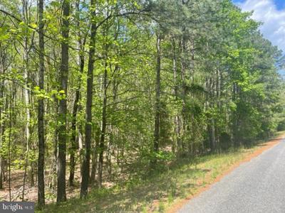 2404 HORSESHOE BEND DRIVE