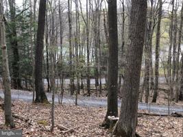 LOT 54 SLOAN TRACT