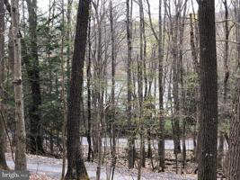 LOT 53 SLOAN TRACT