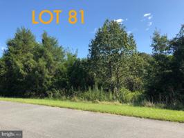 PIMLICO LN LOT 81