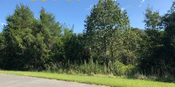 PIMLICO LN LOT 81