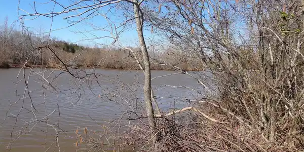 Lot 13 DANIELS POINT DRIVE