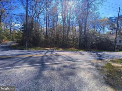 389 THUNDERBIRD DRIVE