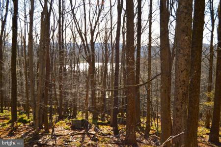 Lot 154 DAISY DRIVE