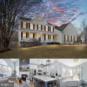 10610 KING EIDER COURT