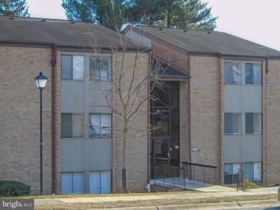 19027 MILLS CHOICE ROAD