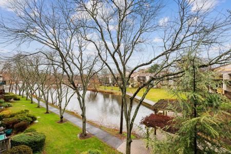 10103 WINDSTREAM DRIVE
