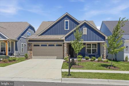 145 COWBIRD