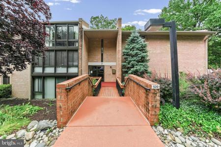 520 LEMON STREET