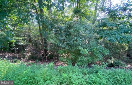 11525 SENORA LANE