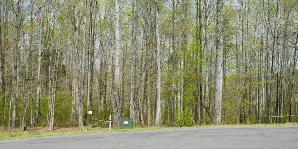 DANIELS POINT DRIVE