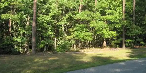 PINE HARBOUR DR. DRIVE